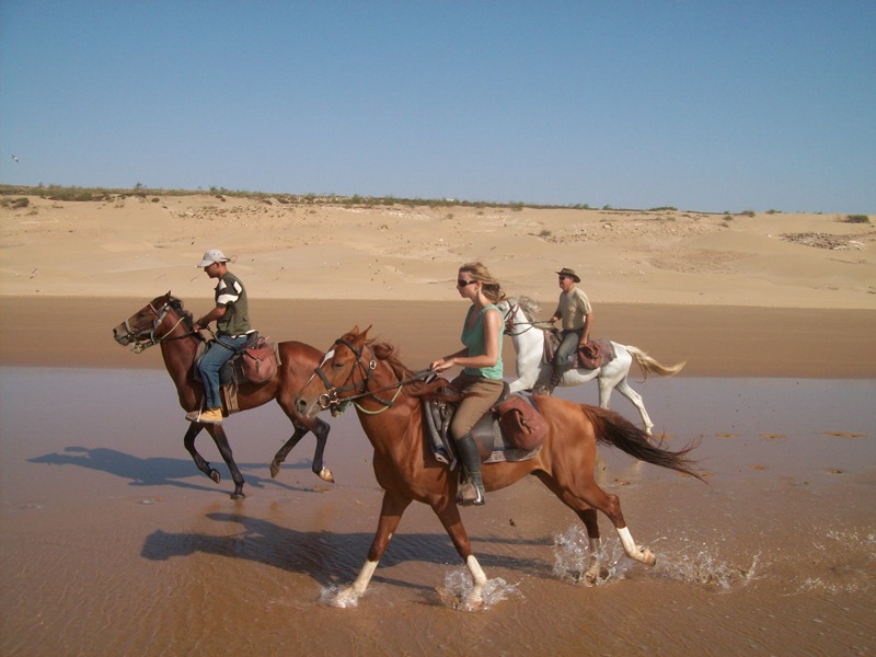 Horse riding along the beach in Morocco
