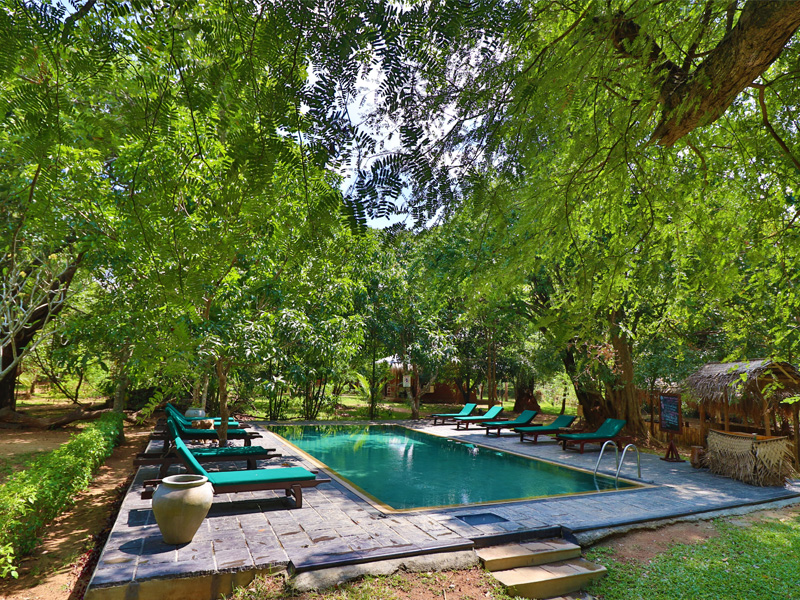 swimming pool at a lodge in sri lanka
