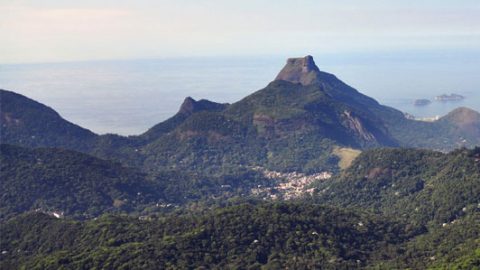 tijuca rainforest view