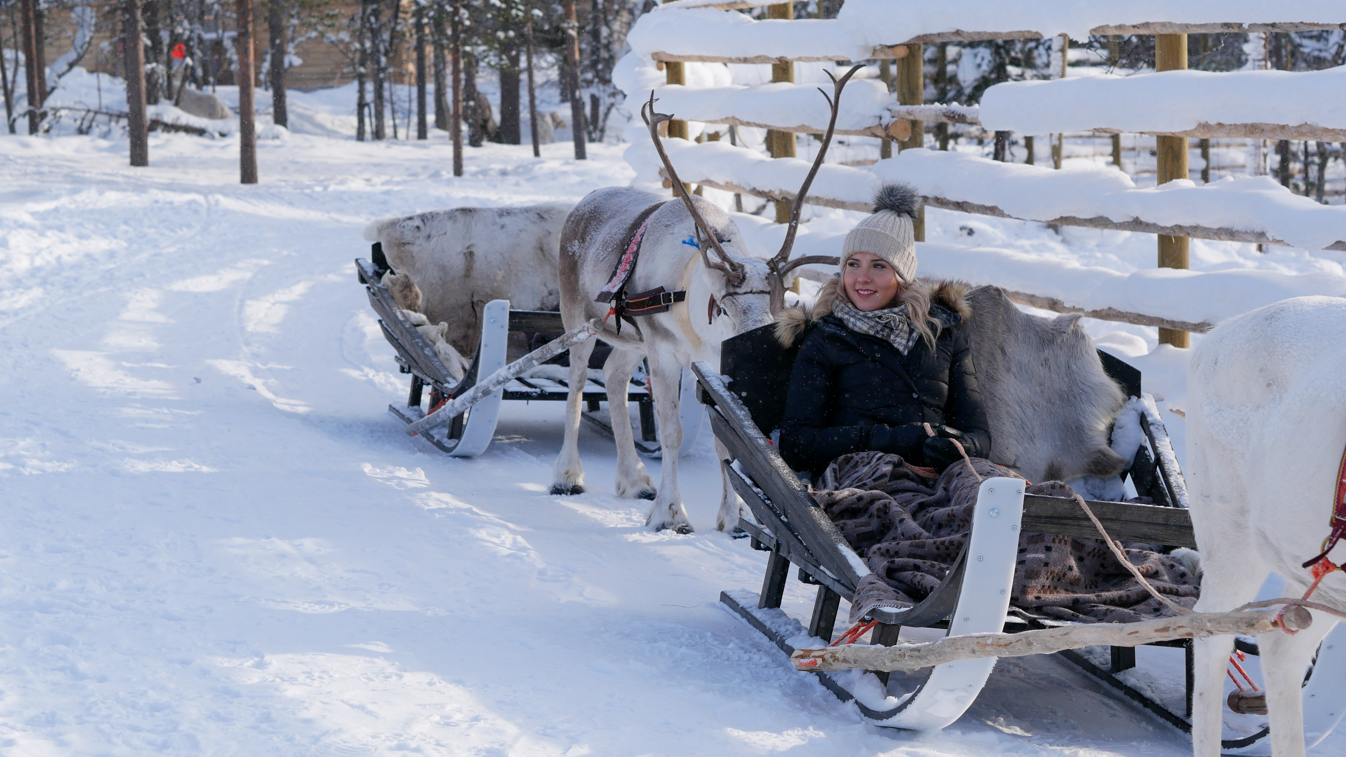 Reindeer Express | Not In The GuideBooks