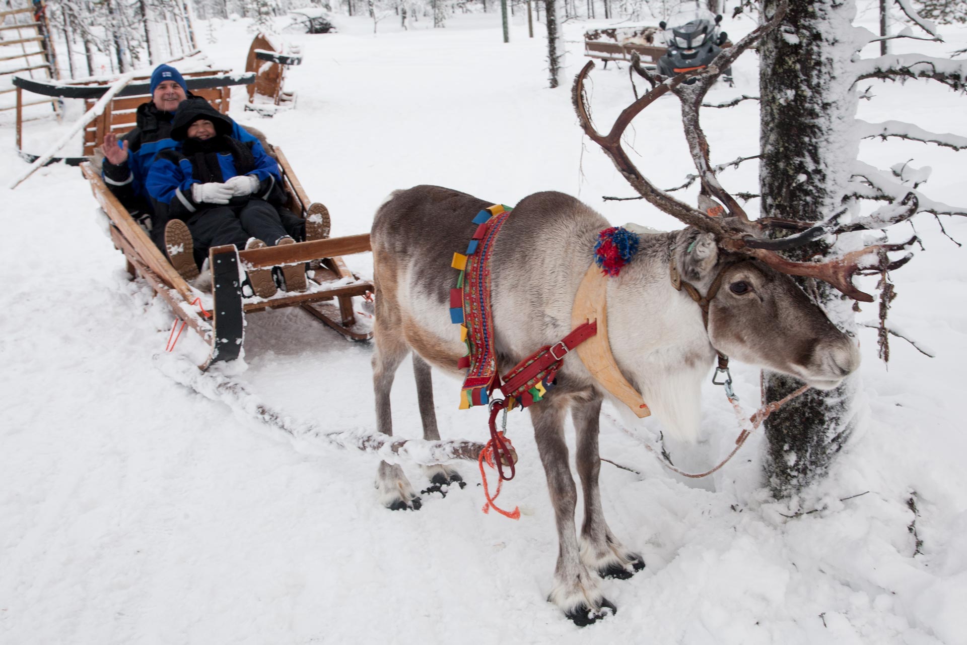 Reindeer Express | Not In The GuideBooks
