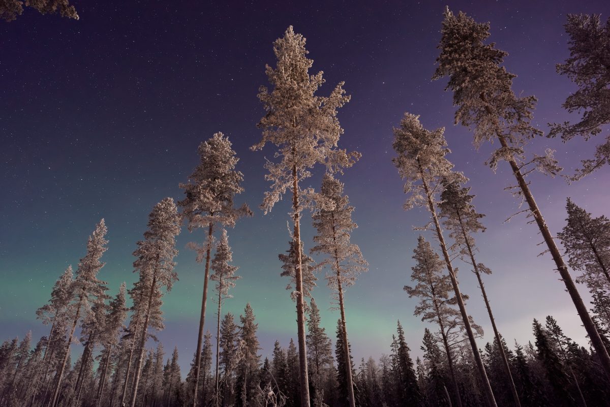 3 Night Romantic Aurora Adventure in Saariselkä image