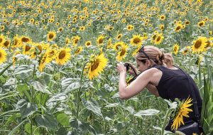 Woman photographing flowers on a photography holiday in Charente