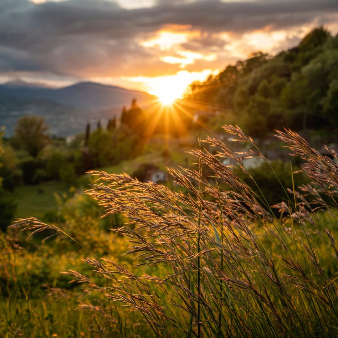 Tuscany image