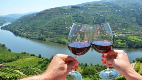 wine tasting the in douro valley