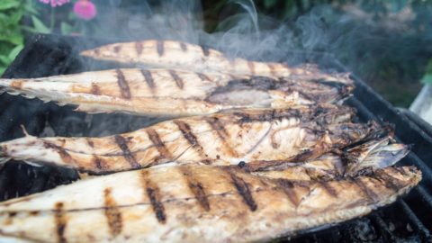 grilling fish in bulgaria