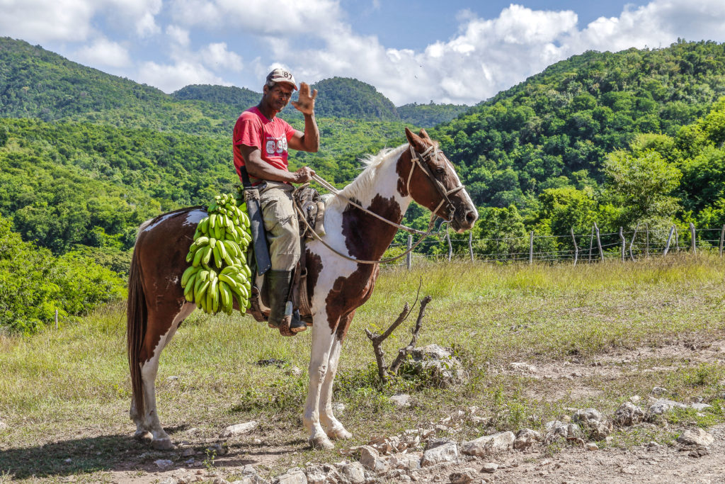 man on a horse in vinales cuba
