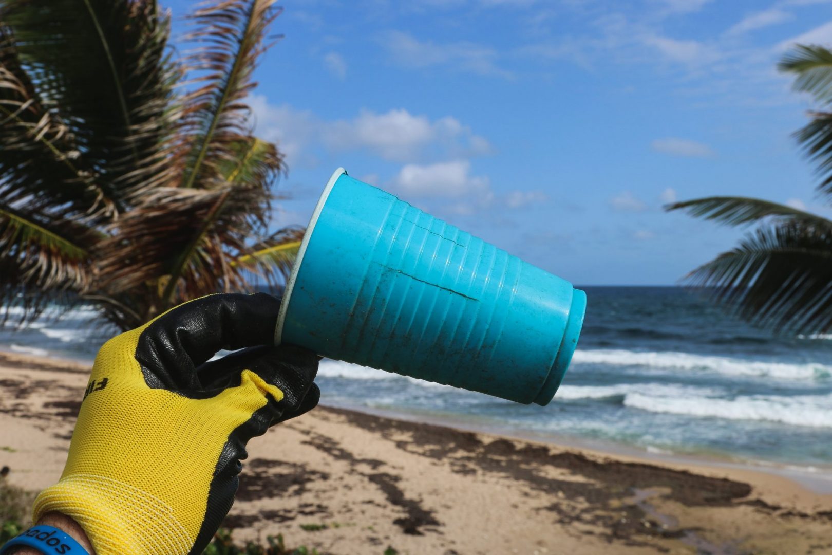 How to Reduce Plastic Use on Holiday image