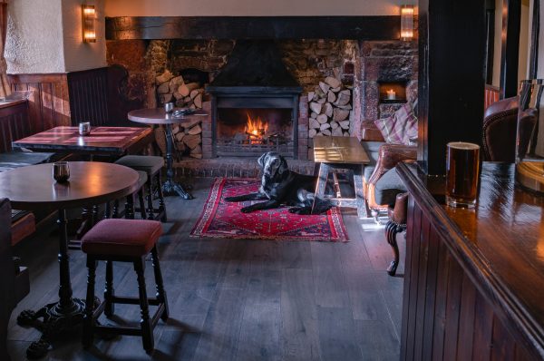dog by a fire in a pub in somerset
