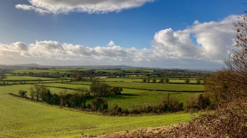 green rolling hills in somerset