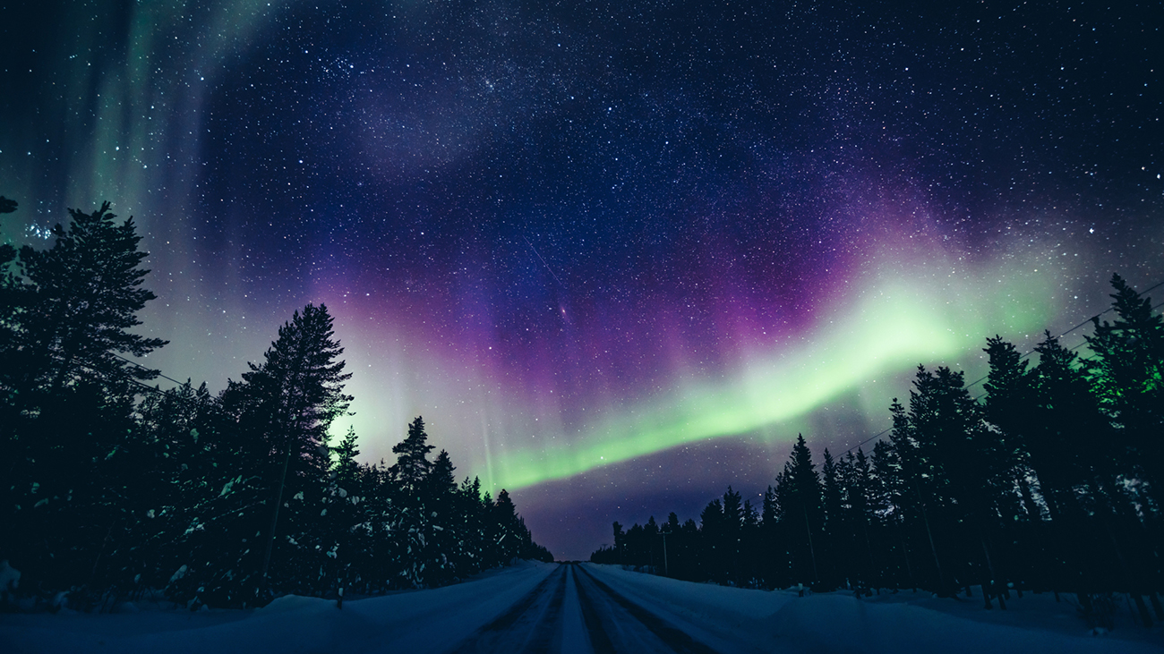 The Ultimate Guide to a Holiday in: Lapland image