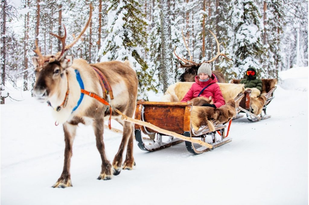 reindeer pulling sled
