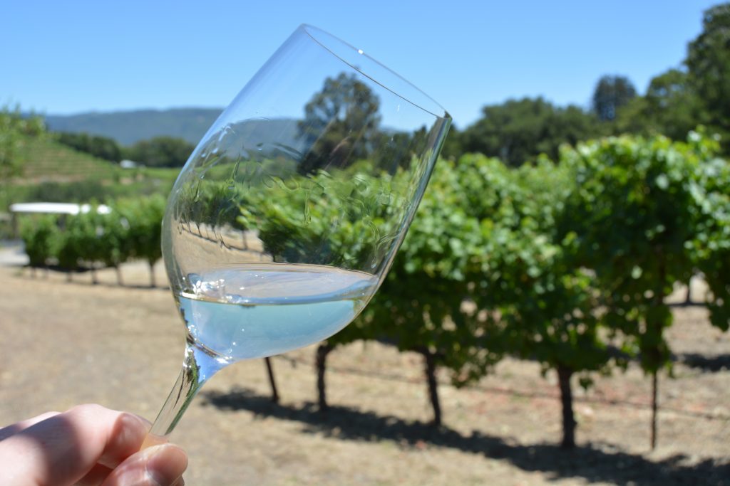 glass of wine in a vineyard near valencia