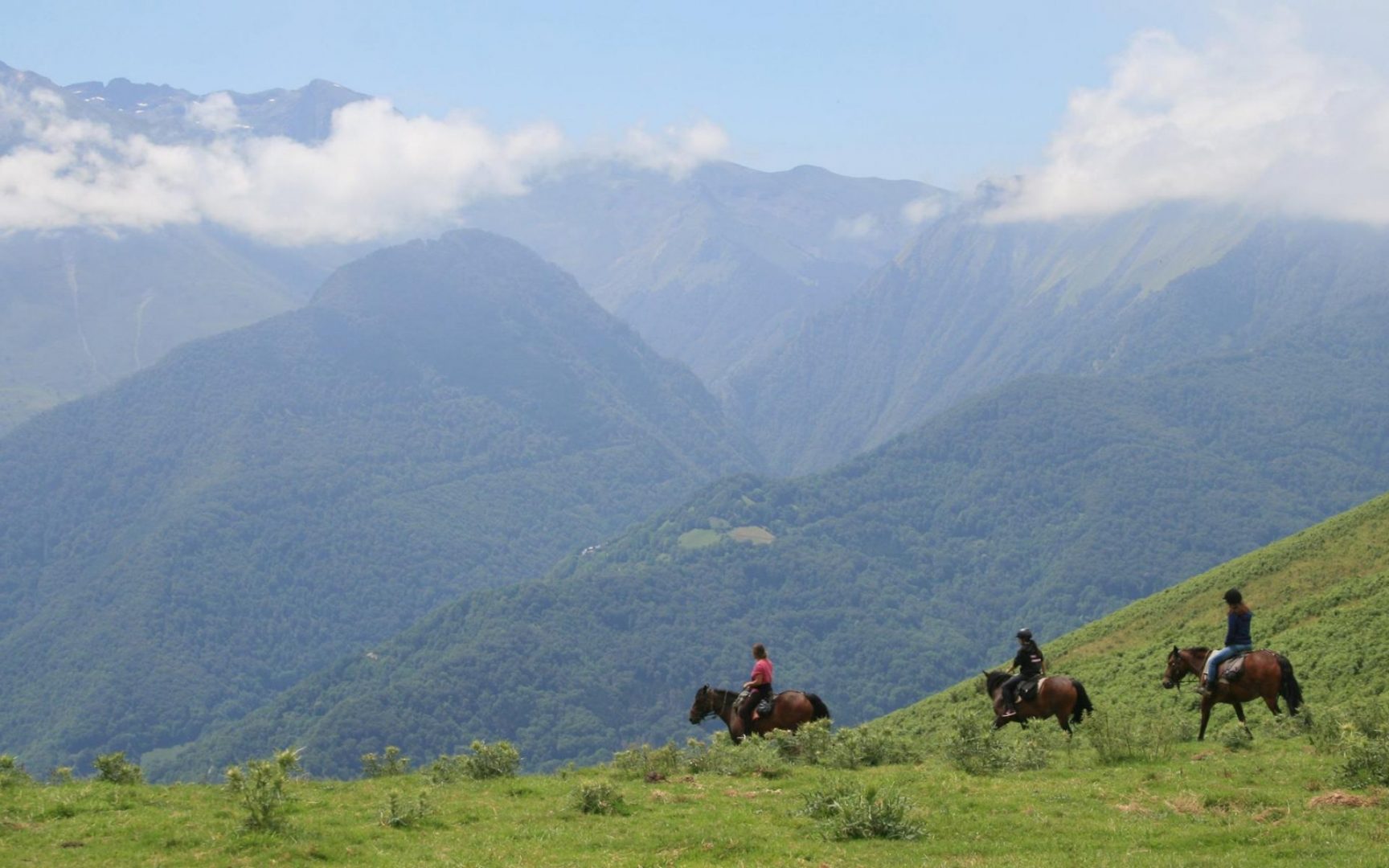 Our Top 4 Horse Riding Holidays in Europe image