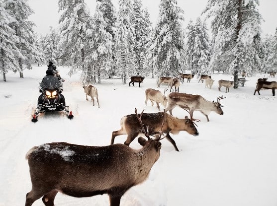 The Magic of Christmas in Lapland