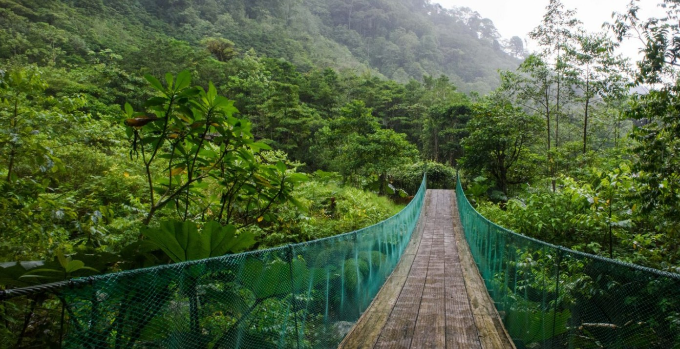 Where is the best cloud forest in Costa Rica? image