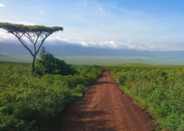 dirt track and plains in tanzania