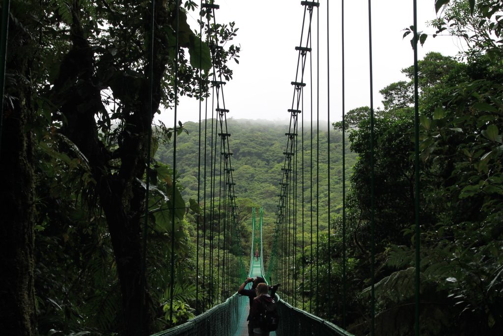 hanging bridge in monteverde costa rica