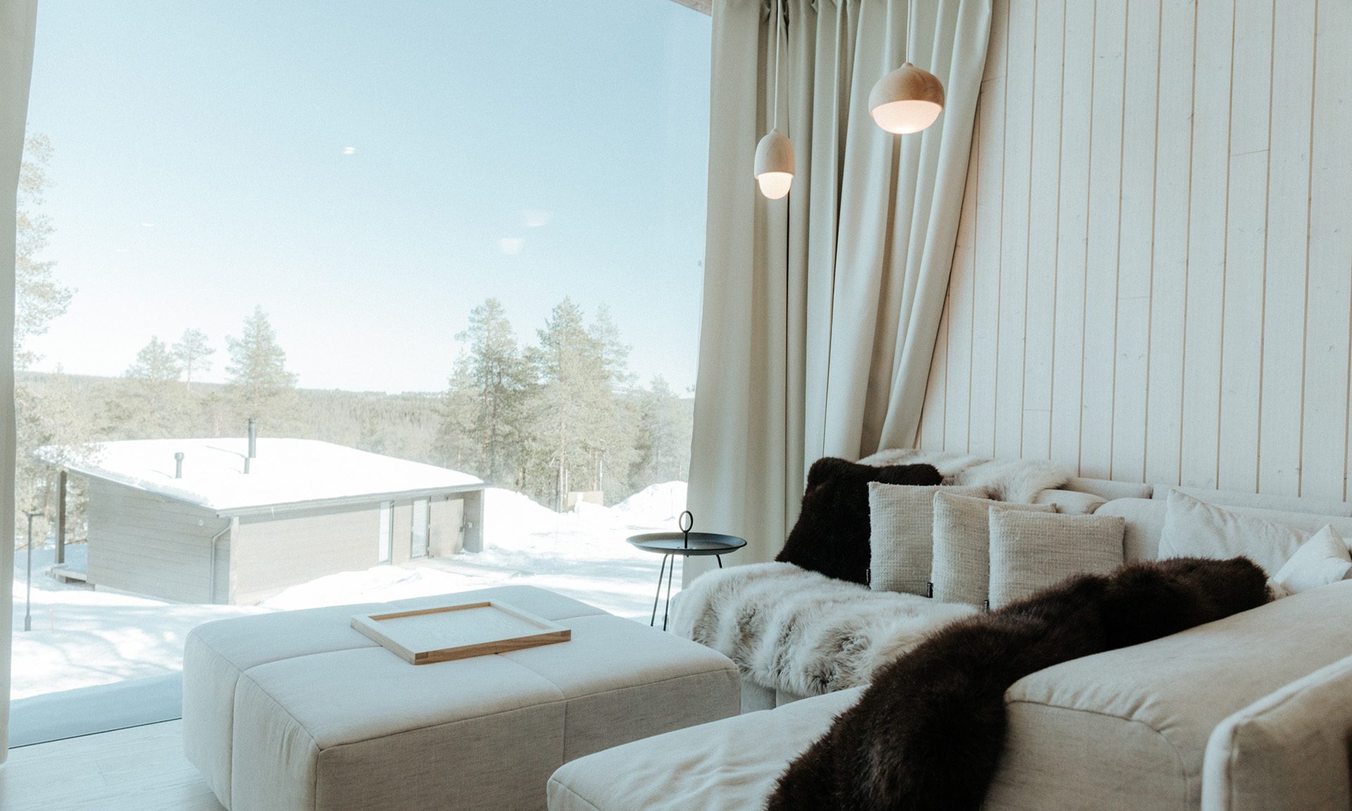 ArcticScene Executive Suite