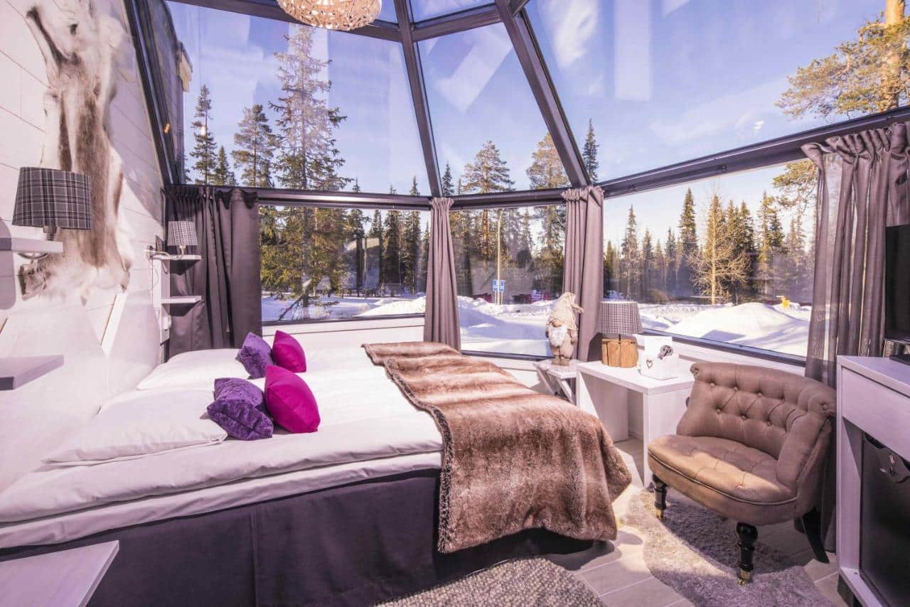 Premium Igloo