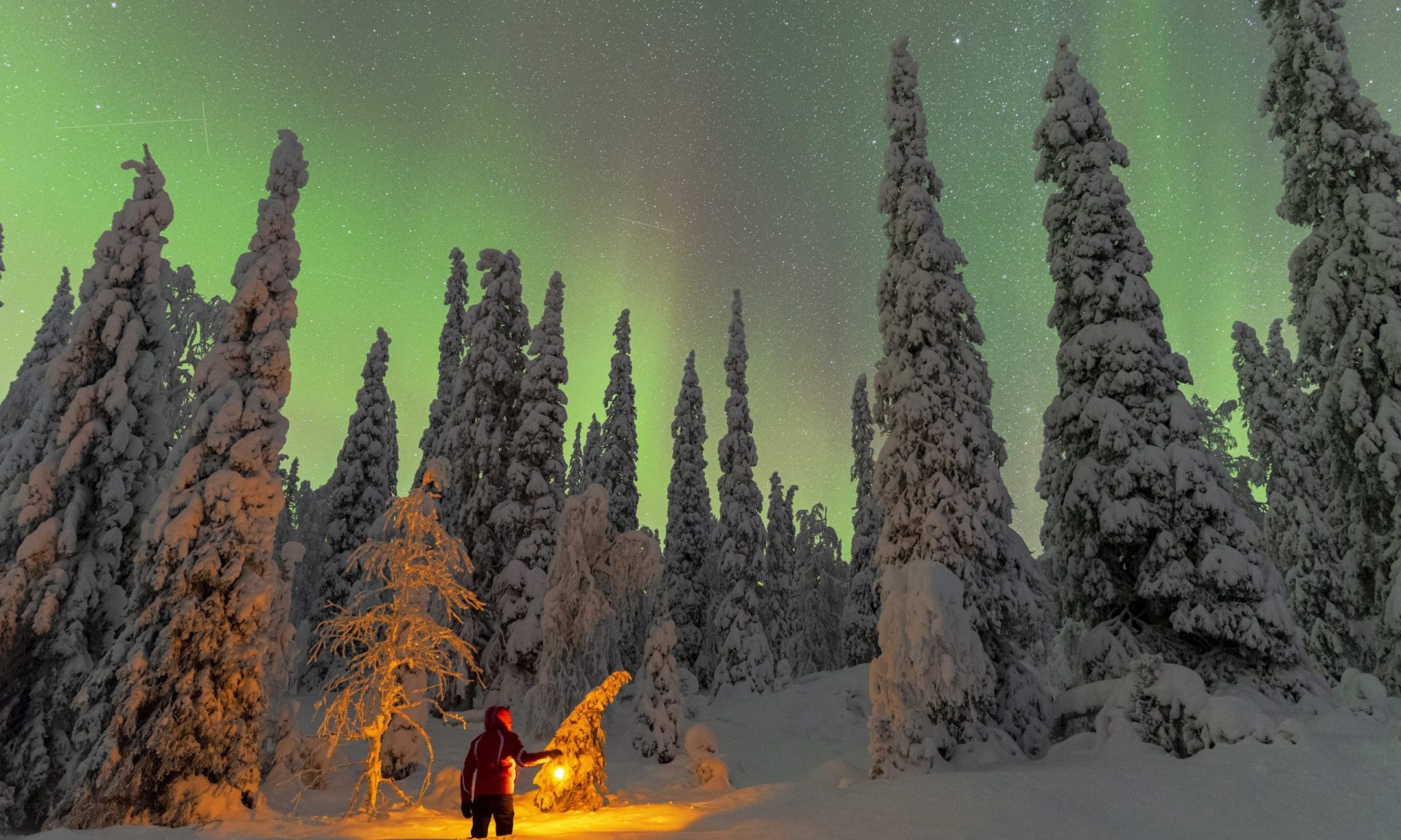 The Best Months to Witness the Northern Lights in Lapland image