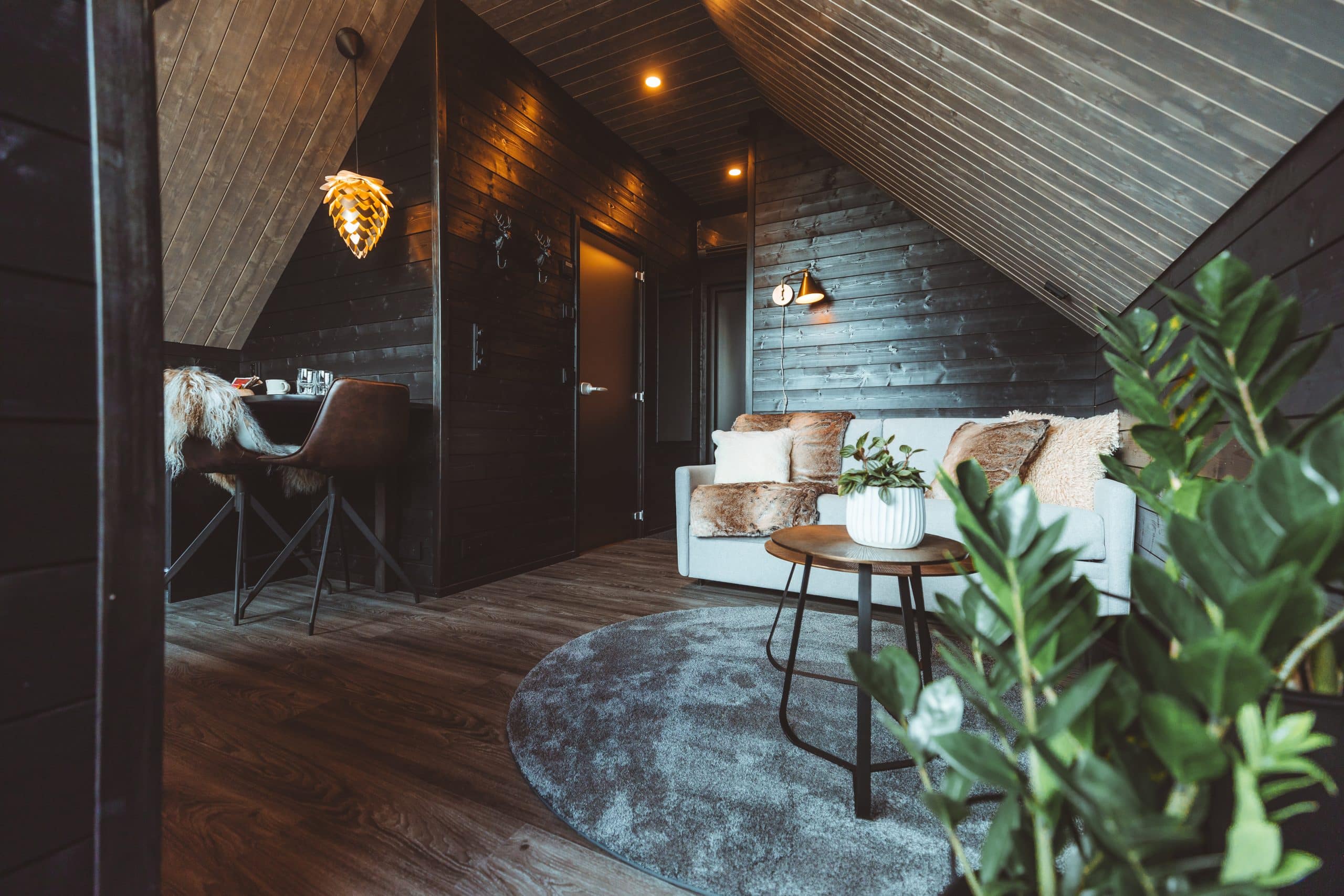 Aurora Cabin King