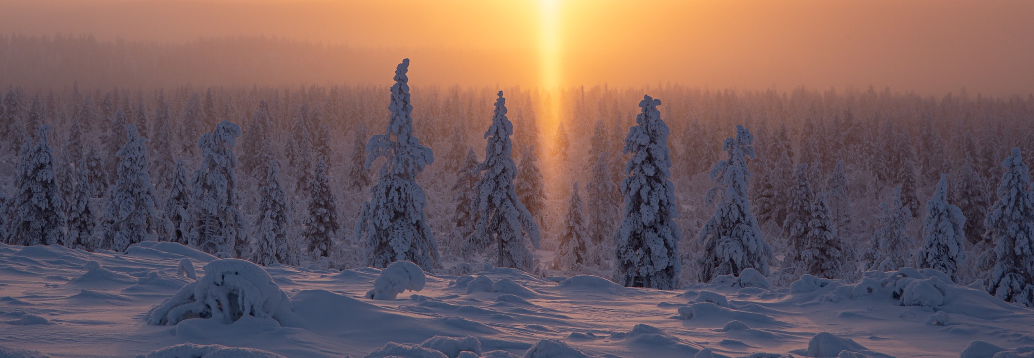 Lapland’s Best Kept Secret: Nellim image
