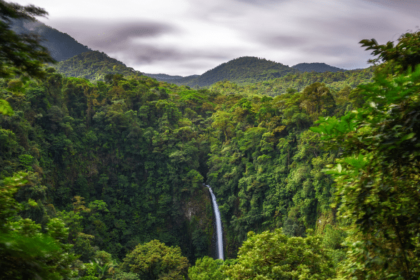 What is it about Costa Rica and Wildlife?