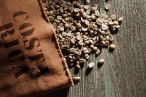 Costa Rica coffee beans spilled over table