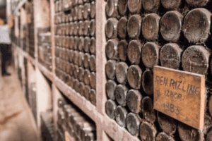 Ptuj wine cellar in Slovenia with dusty wine bottles