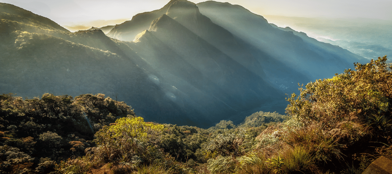 Sustainability Trends in Travel for 2025 image