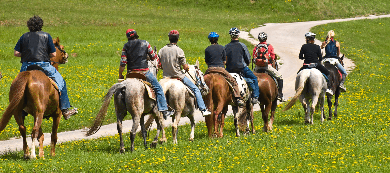 Top 5 Horse Riding Holiday Destinations in Europe image
