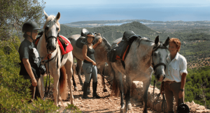 Group of travellers on a horse riding holiday in the mountains of Majorca, Spain