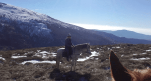 Horse and rider looking over the Sierra Nevada mountains in Spain