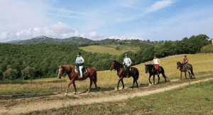Group of horse riders going through the Tuscan countryside