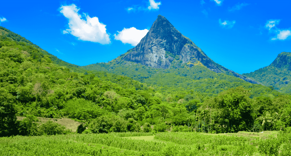 Want to Get Off-the-Beaten-Track in Sri Lanka? image