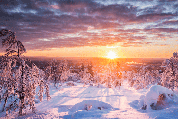 Couples’ Adventures in a Magical Landscape