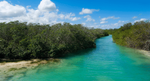 View over the river in Sian Ka'an nature reserve in Mexico