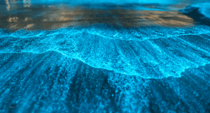 Bioluminescence in Mexico Manialtepec Lagoon, near Puerto Escondido