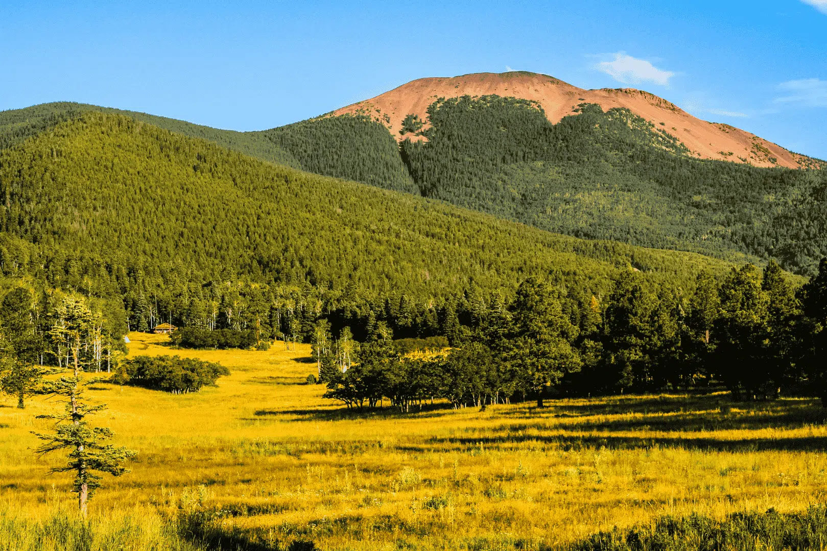Eco-Travel in Mexico: The Best Nature Experiences image