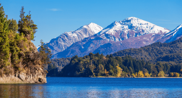 view over a forest with mountains in the background in Argentina