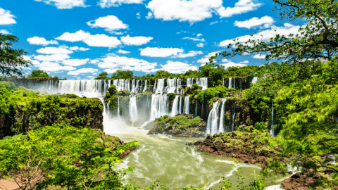 Beautiful rainforest with waterfalls in Argentina