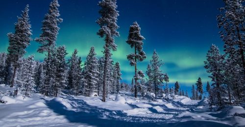 4 Night Lapland Adventure with Ice fishing in Saariselkä image