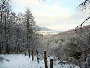 Winter Breaks in the UK image