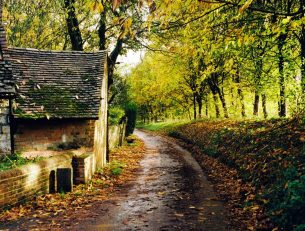 Autumn Breaks in the UK image