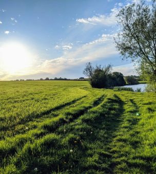 Somerset image