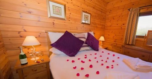 The Barn Owl Log Cabin In Somerset image