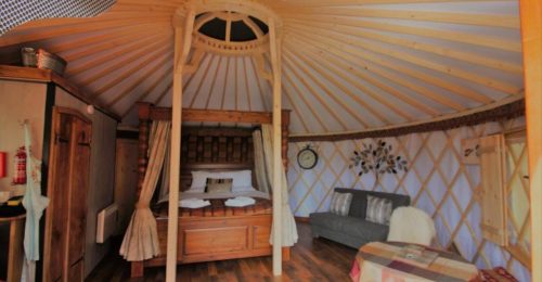 Yurt Glamping Experience in Somerset image