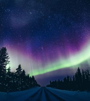 The Ultimate Guide to a Holiday in: Lapland image