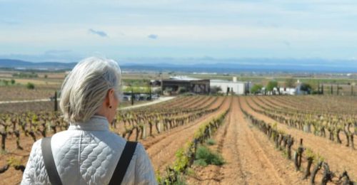 Wine Escapade and Countryside Tour from Valencia image